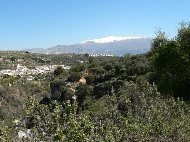 Walk with Granada Rutas - Senderismo en Granada
