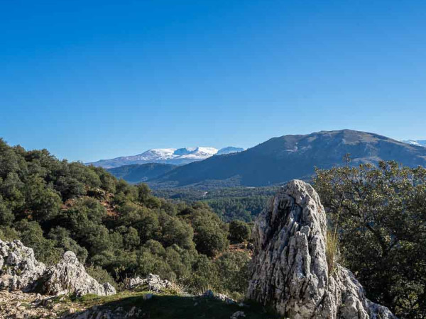 Walk with Granada Rutas - Senderismo en Granada