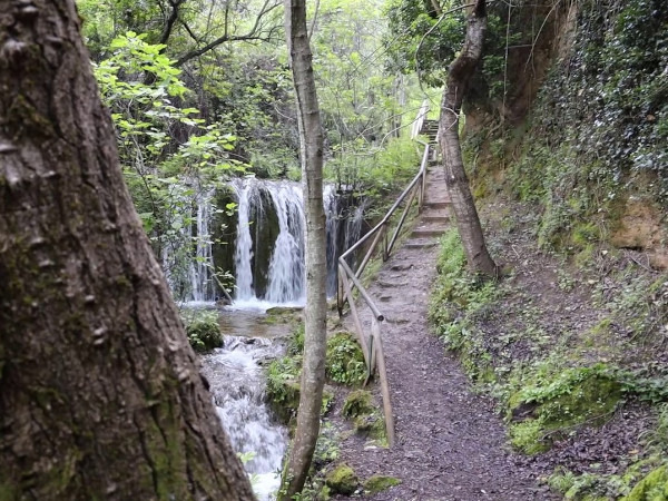 Walk with Cazorla