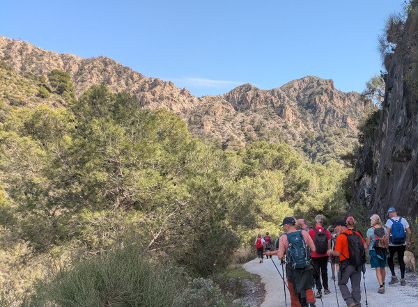 Walk with Sexisenderistas