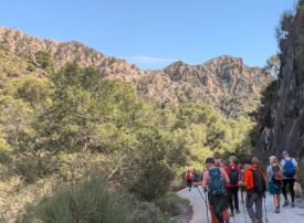 Walk with Sexisenderistas