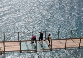 Walk with Sexisenderistas